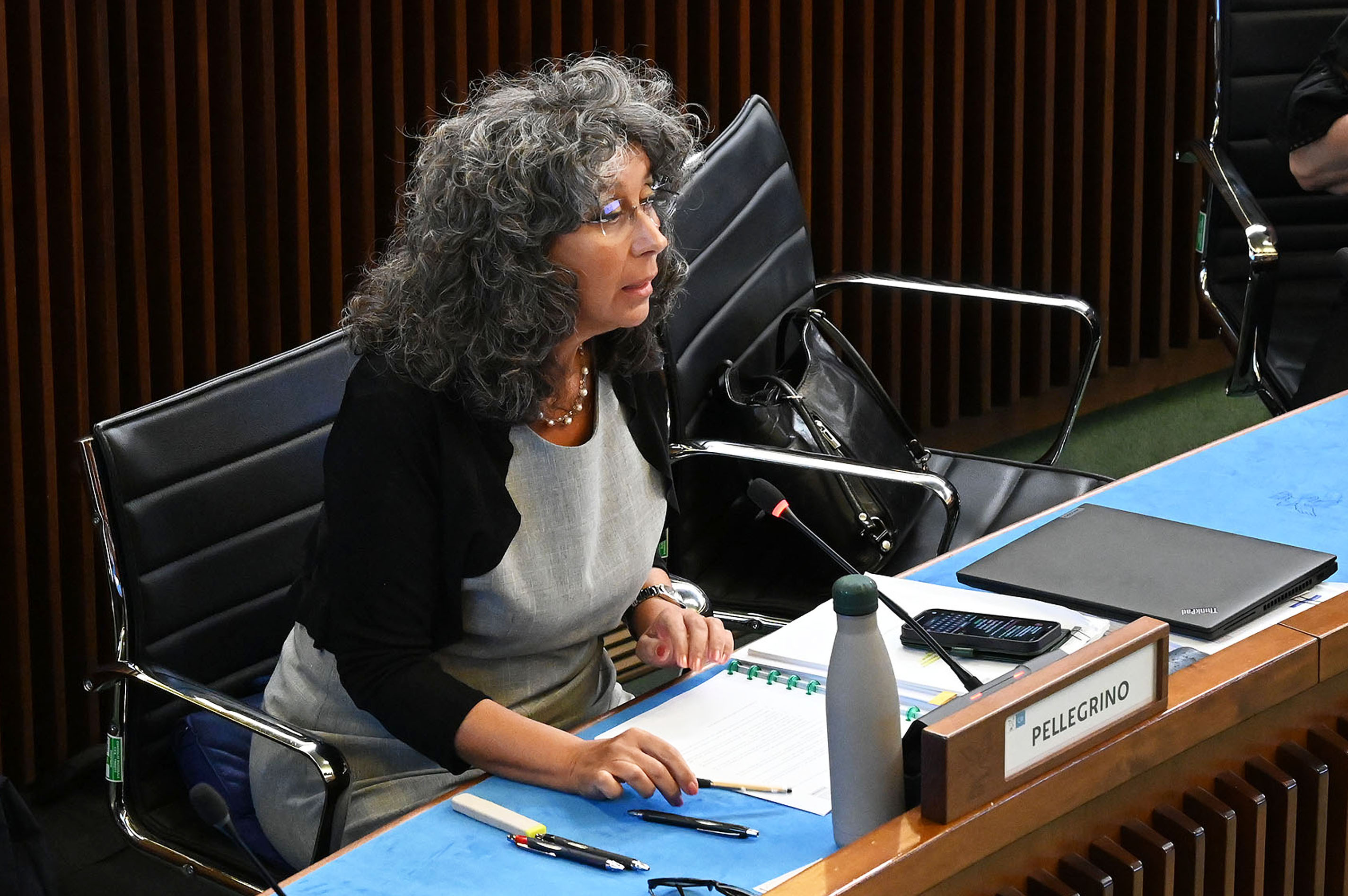 PROVINCE. PELLEGRINO(AVS): RAPPRESENTANZA LEGITTIMATA DA VOTO COMUNITÀ
